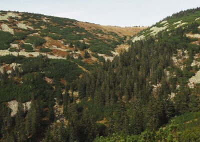 Krkonoše, údolí Bílého Labe